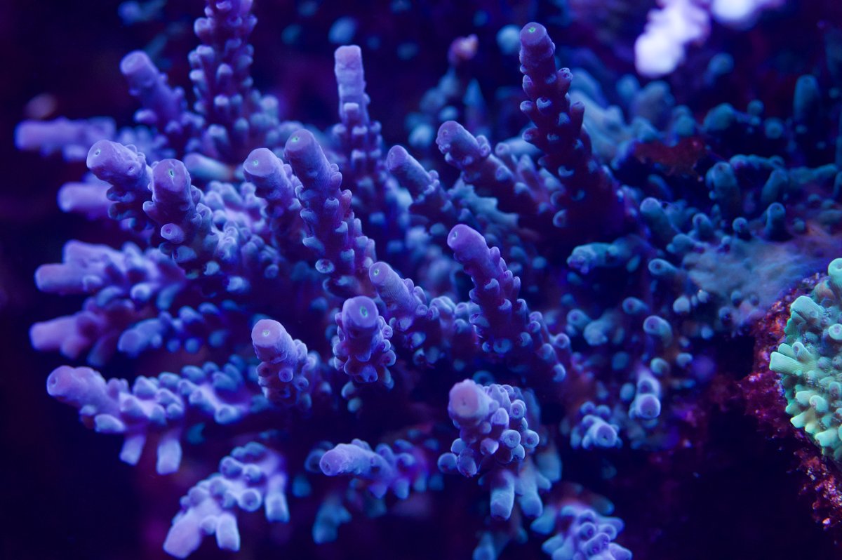 _DSC0192.jpeg