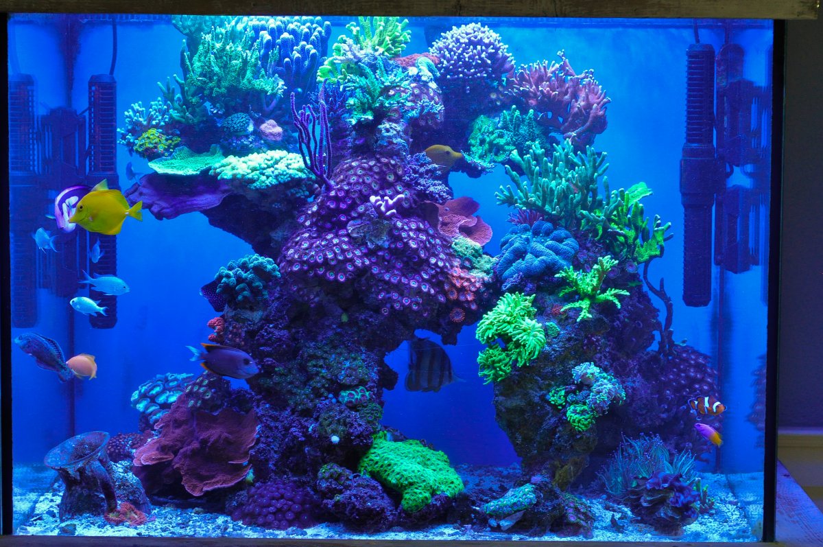 _DSC0211_edited.jpg