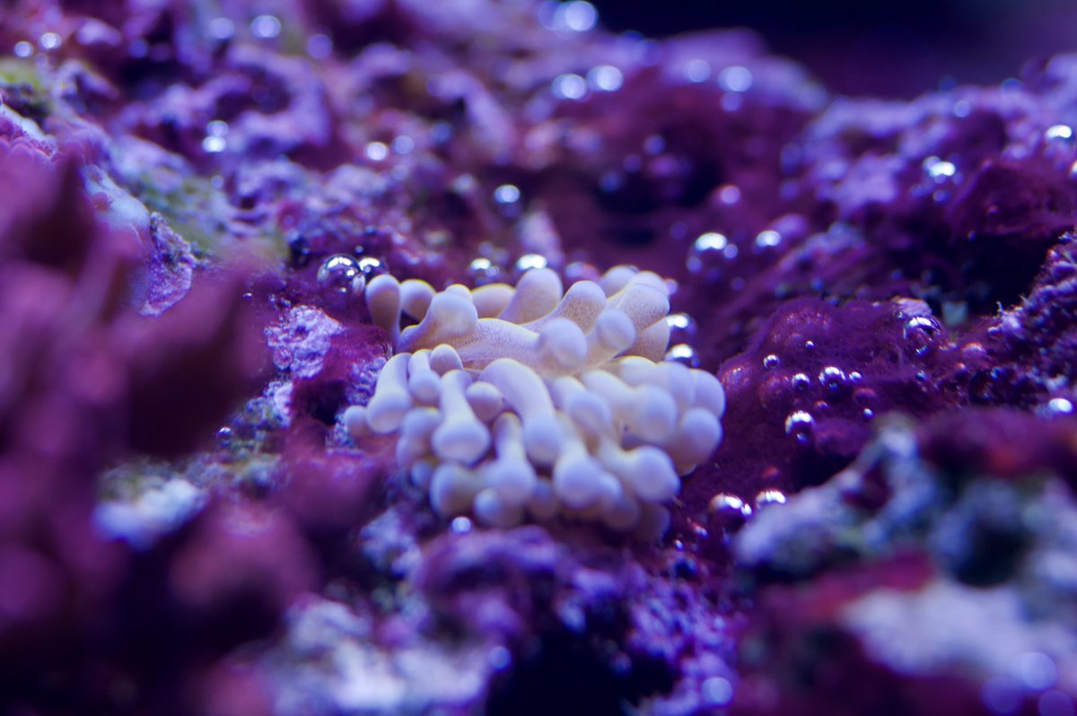 _DSC0239.jpeg