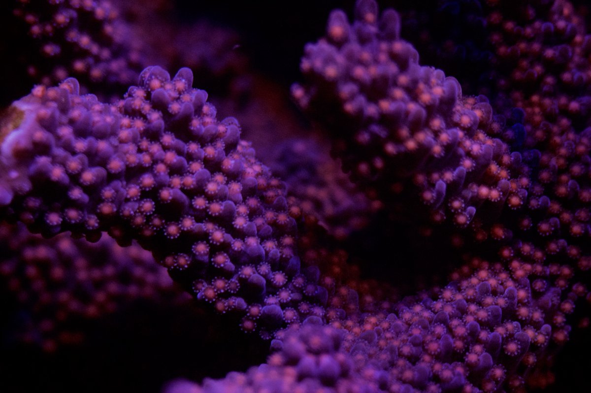 _DSC0254.jpeg