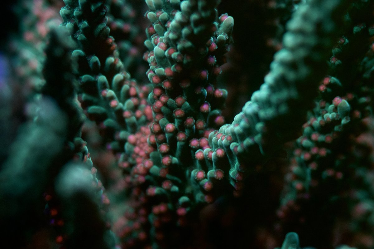_DSC0255.jpeg