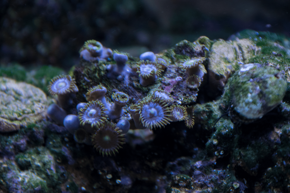 _DSC0287.png