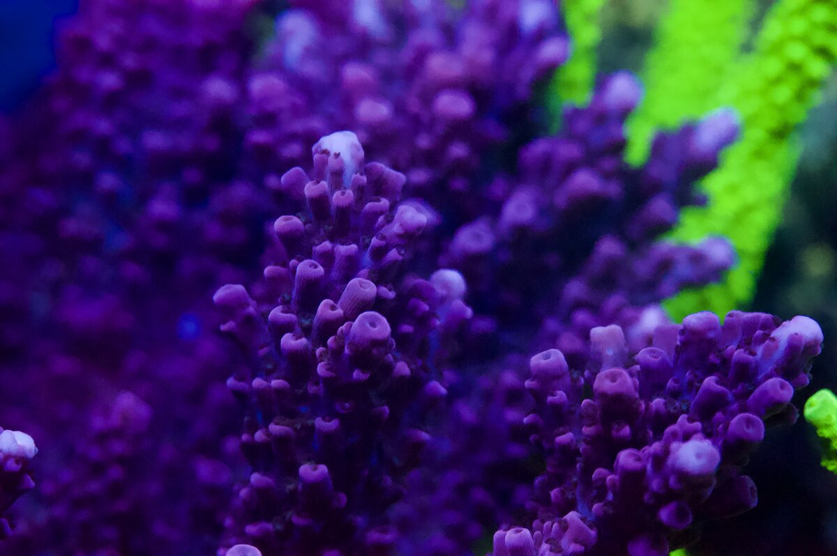 _DSC0573.jpeg
