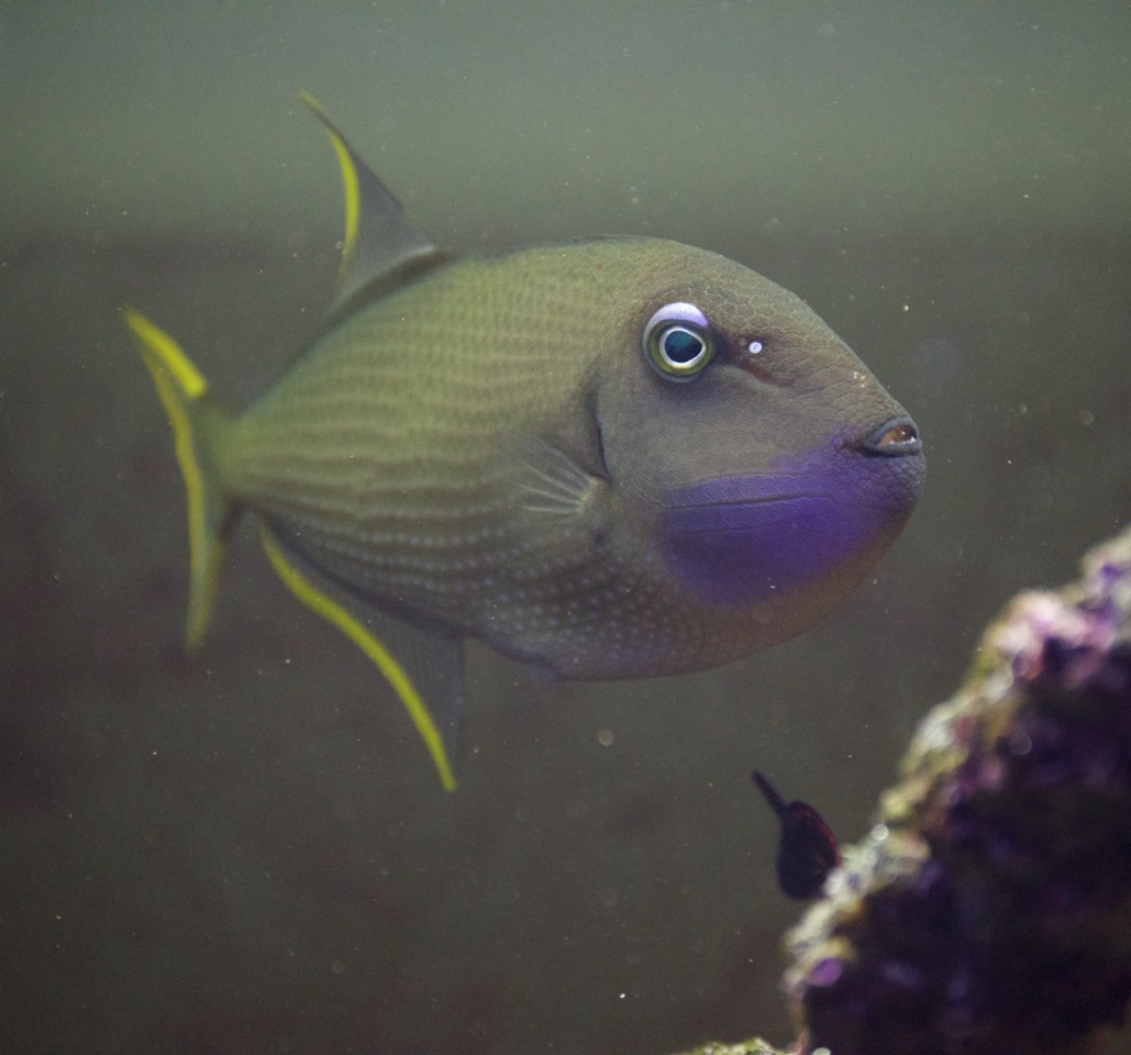 _DSC1252.jpeg