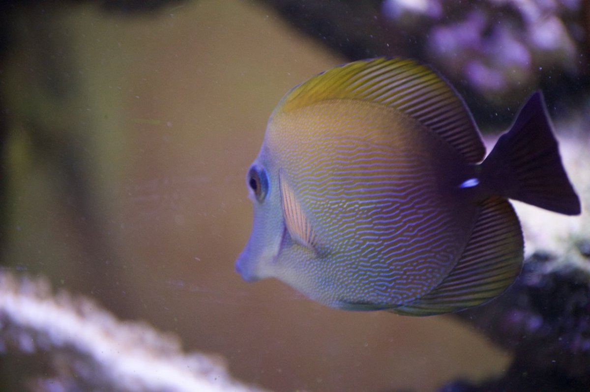 _DSC1255.jpeg