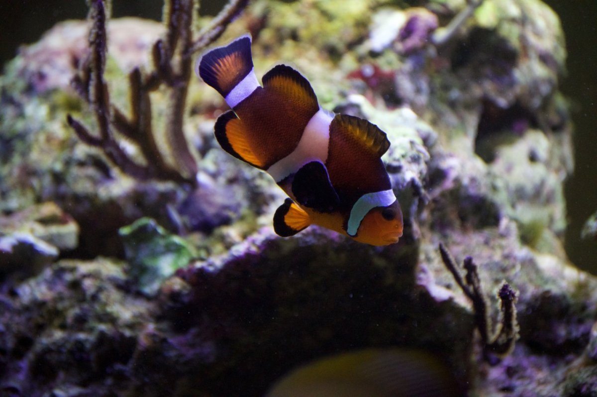 _DSC1257.jpeg