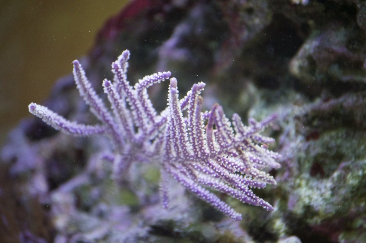 _DSC1280.jpeg