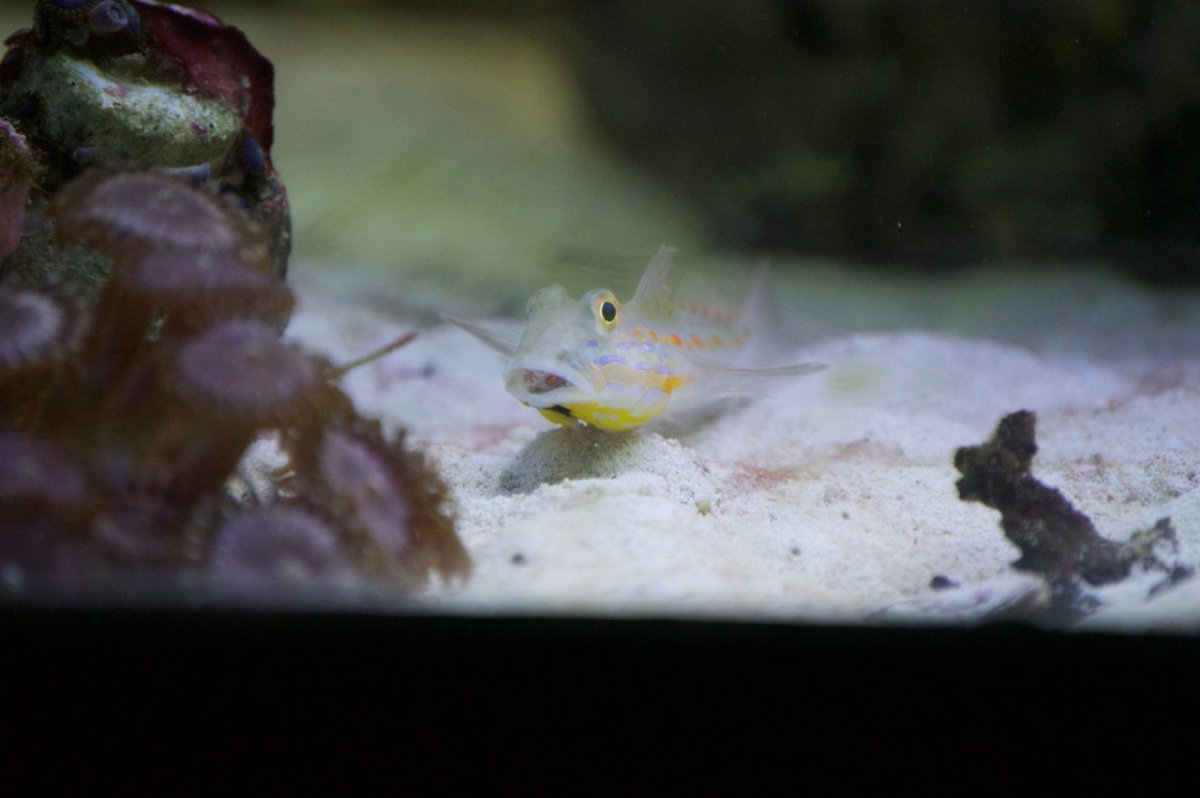_DSC1284.jpeg