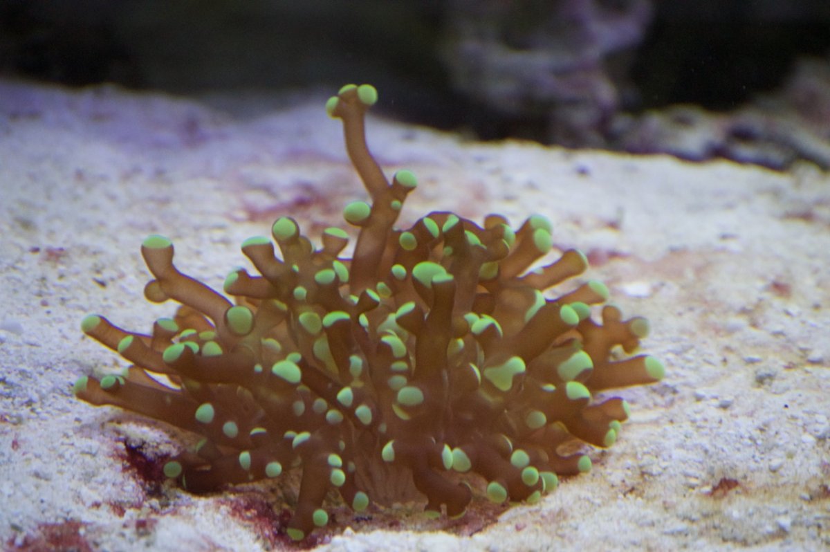 _DSC1339.jpeg