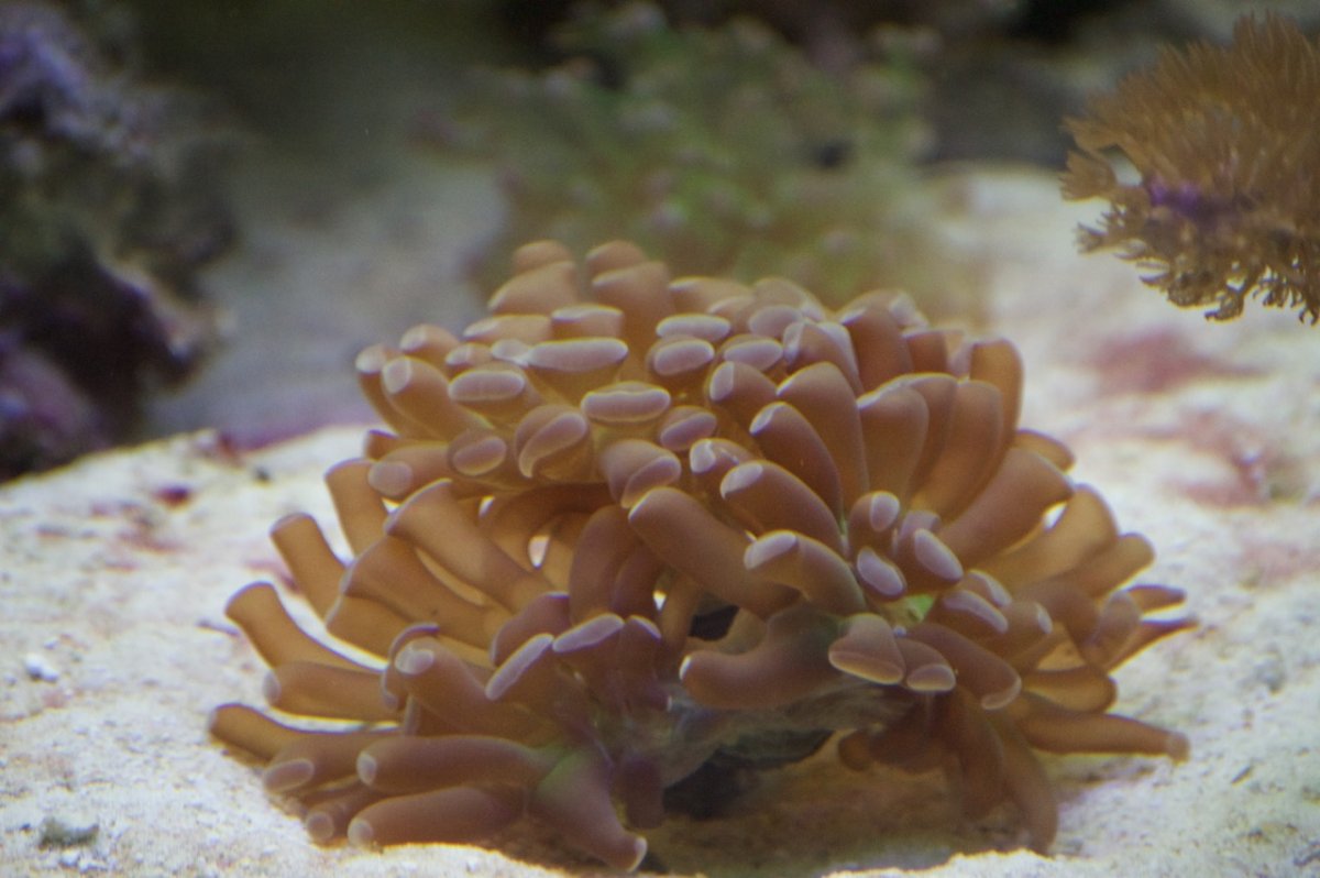 _DSC1340.jpeg