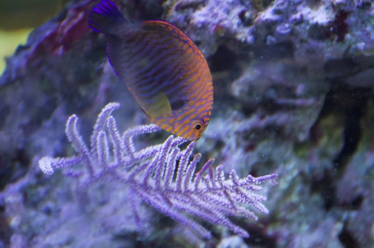 _DSC1348.jpeg