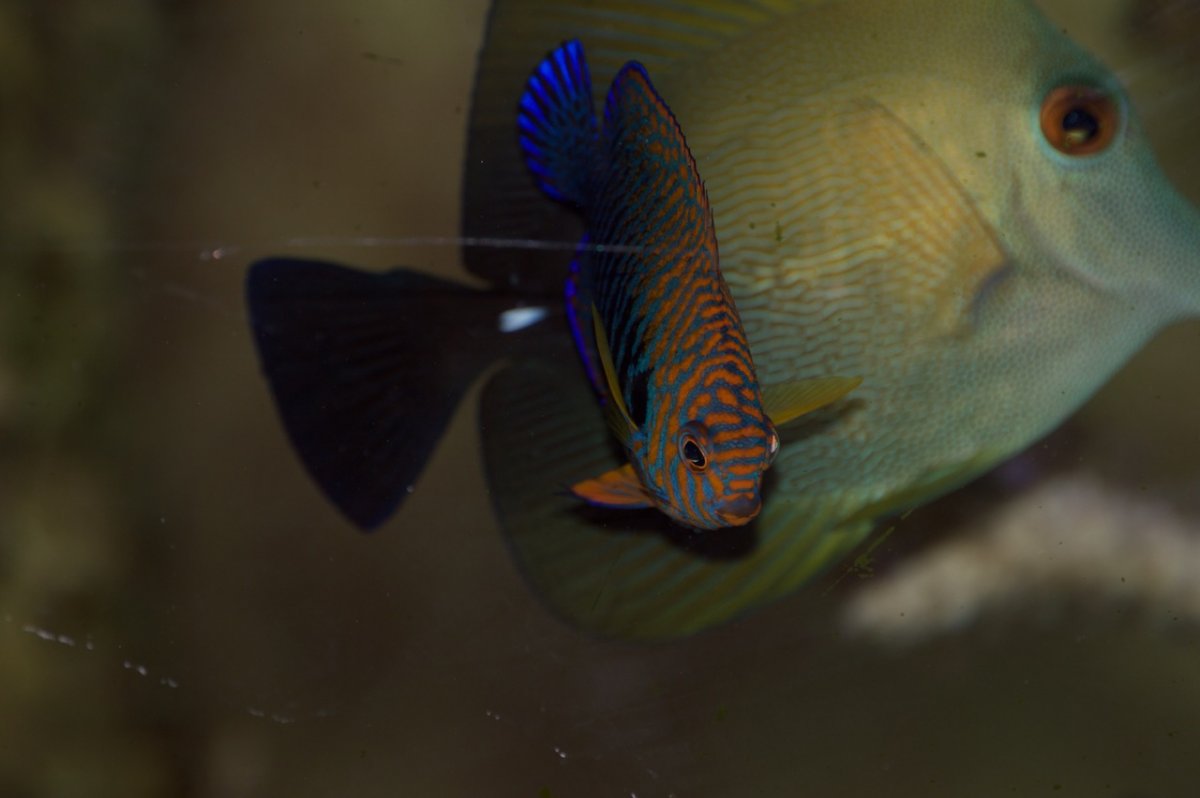 _DSC1393.jpeg