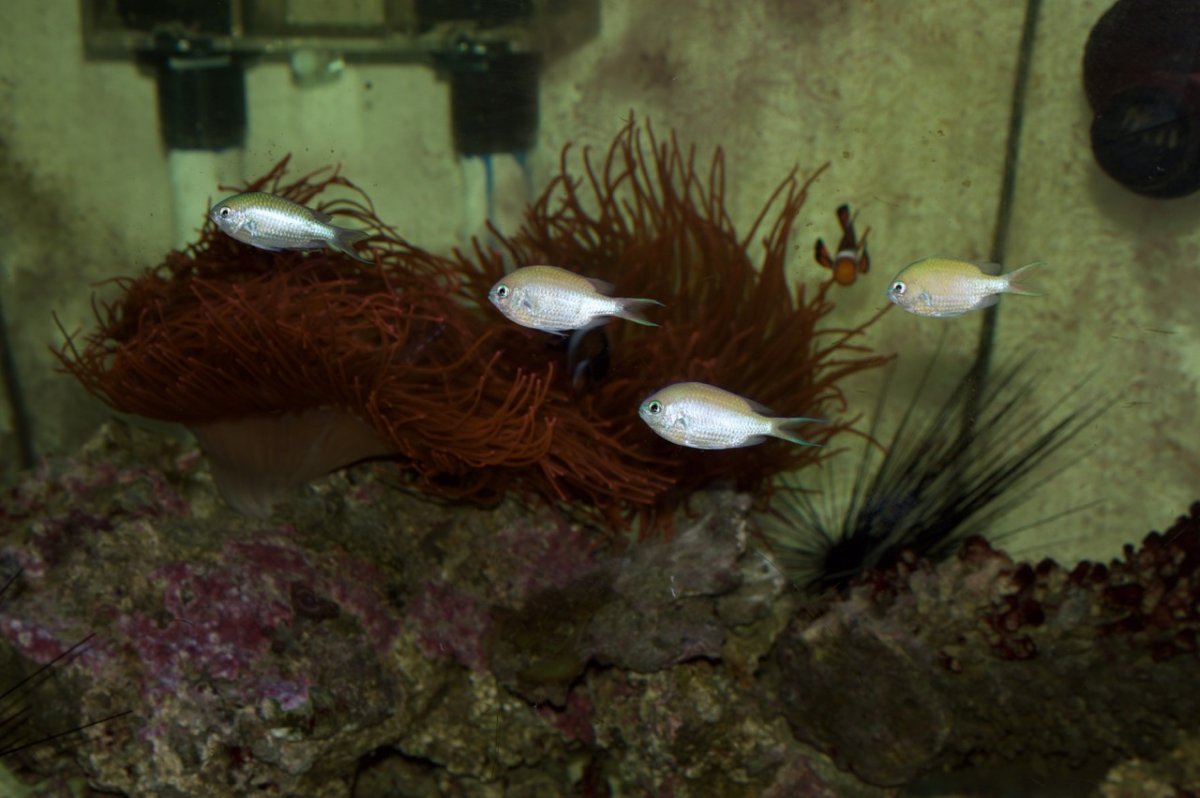 _DSC1399-2.jpeg