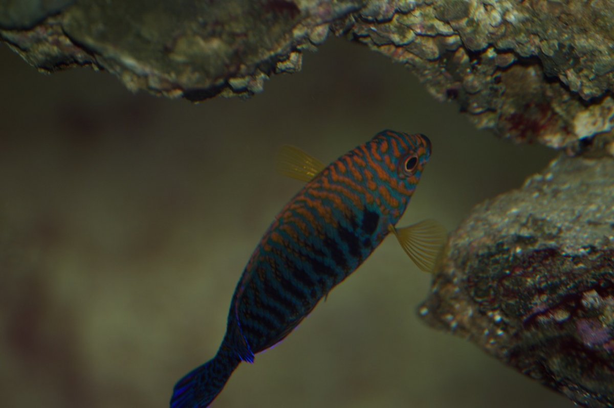 _DSC1404.jpeg