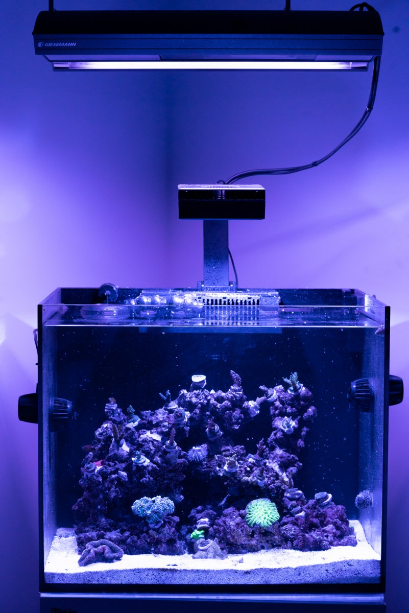 reef LED90 アームセット　使用期間１ヶ月半