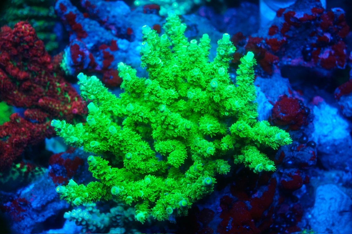 _DSC4322.jpeg