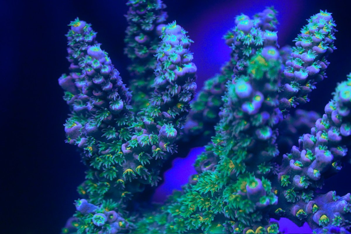 _DSC4414.jpeg