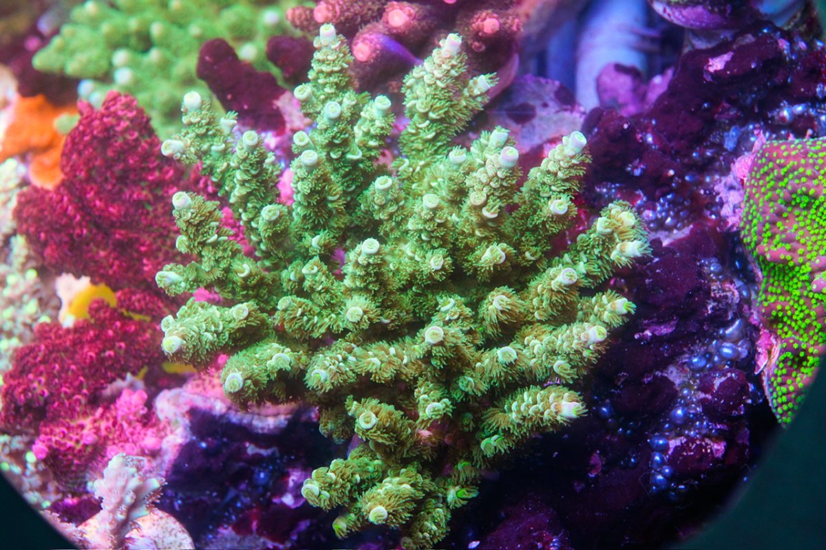 _DSC4647.jpeg