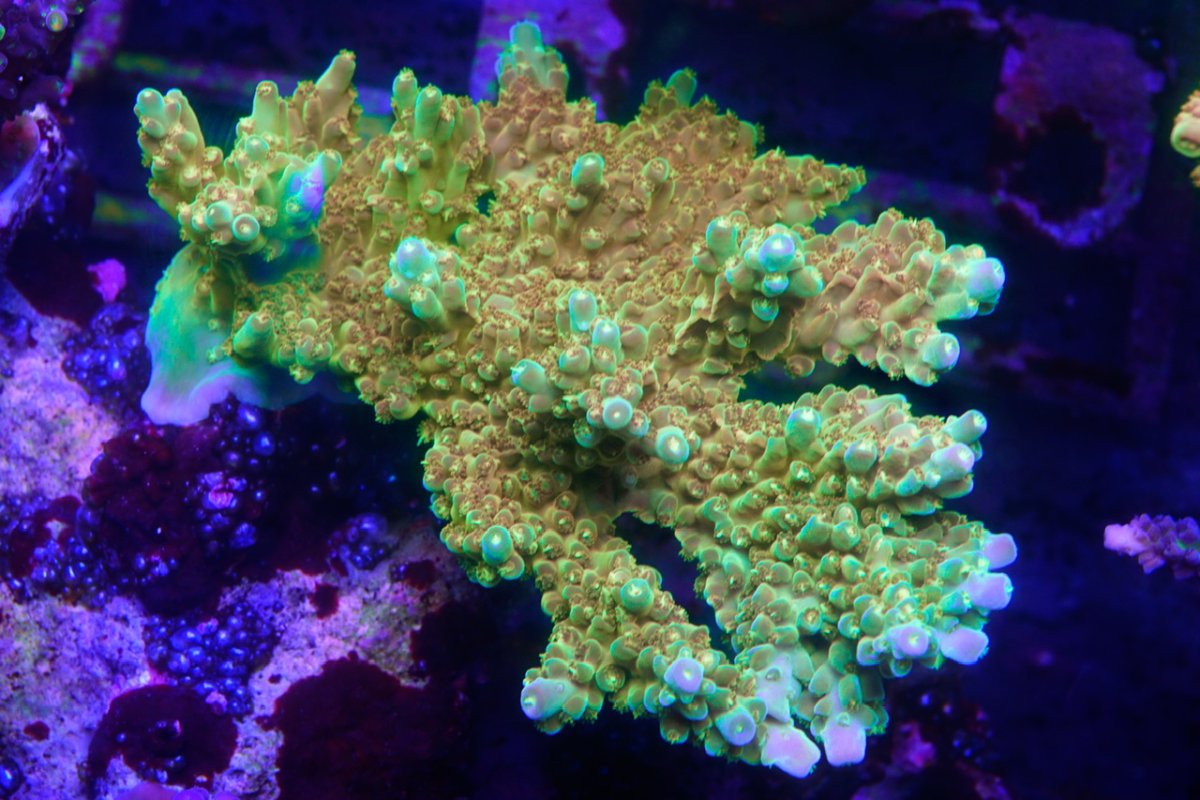 _DSC4651.jpeg
