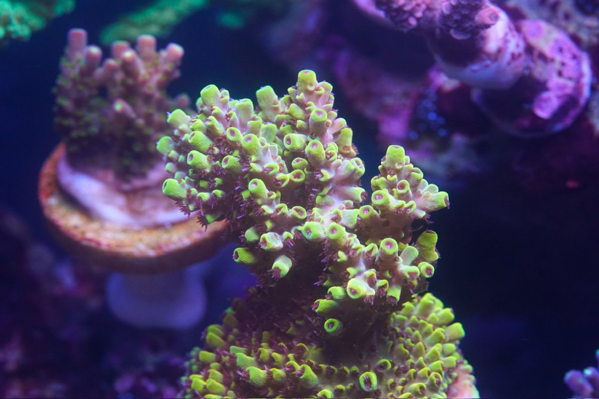 _DSC4664.jpeg