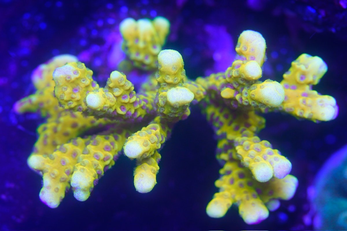 _DSC4787.jpeg