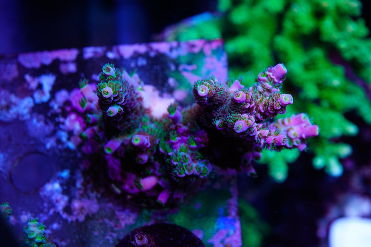 _DSC4807.jpeg