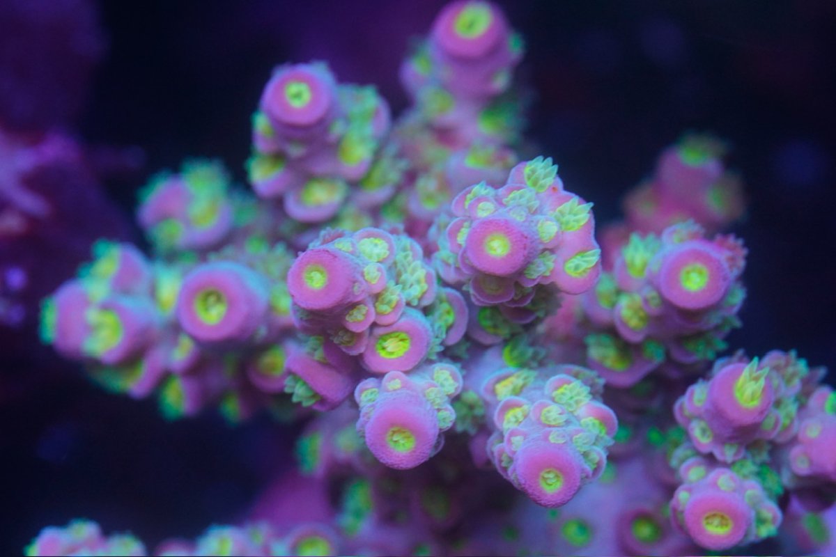_DSC4832.jpeg