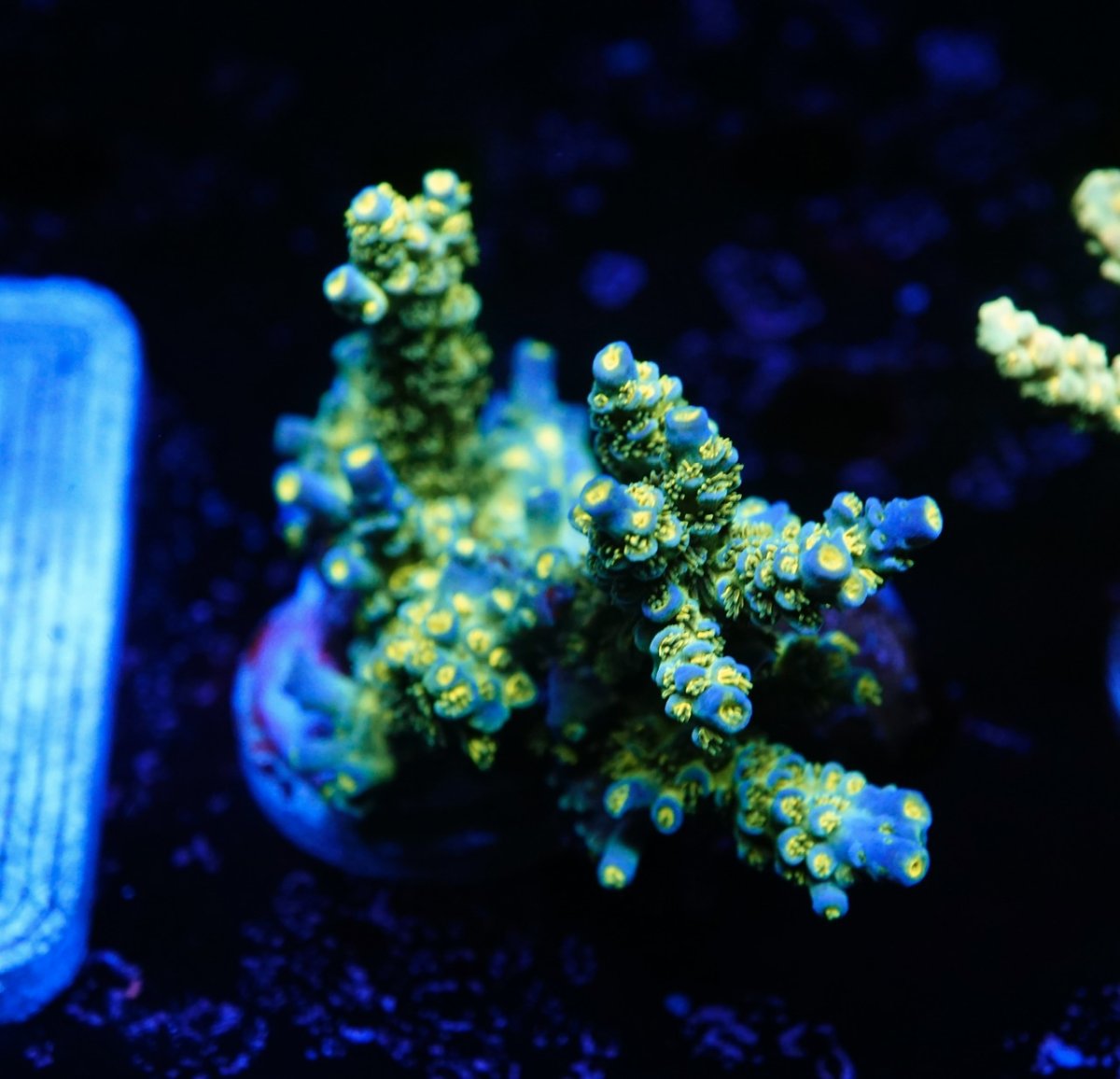 _DSC4957.jpeg