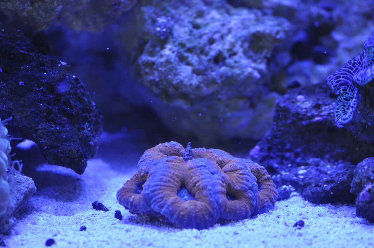 _DSC6635.jpeg