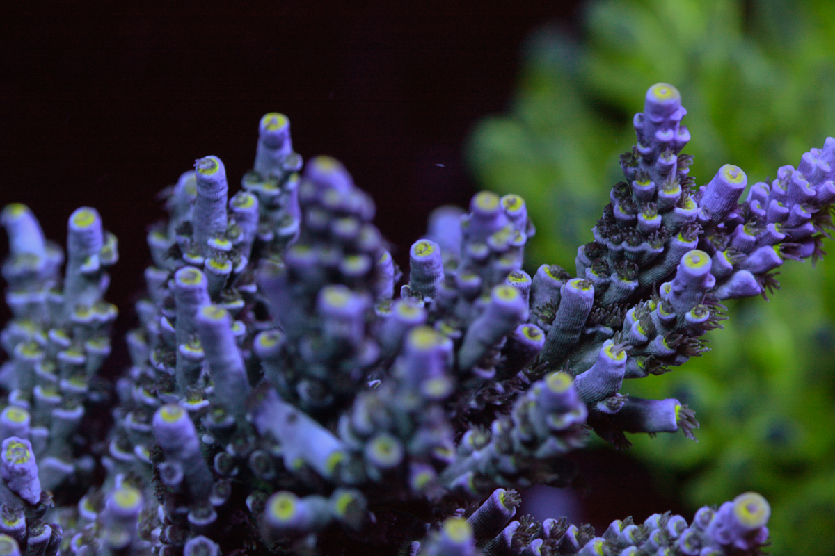 _DSC8023.JPG