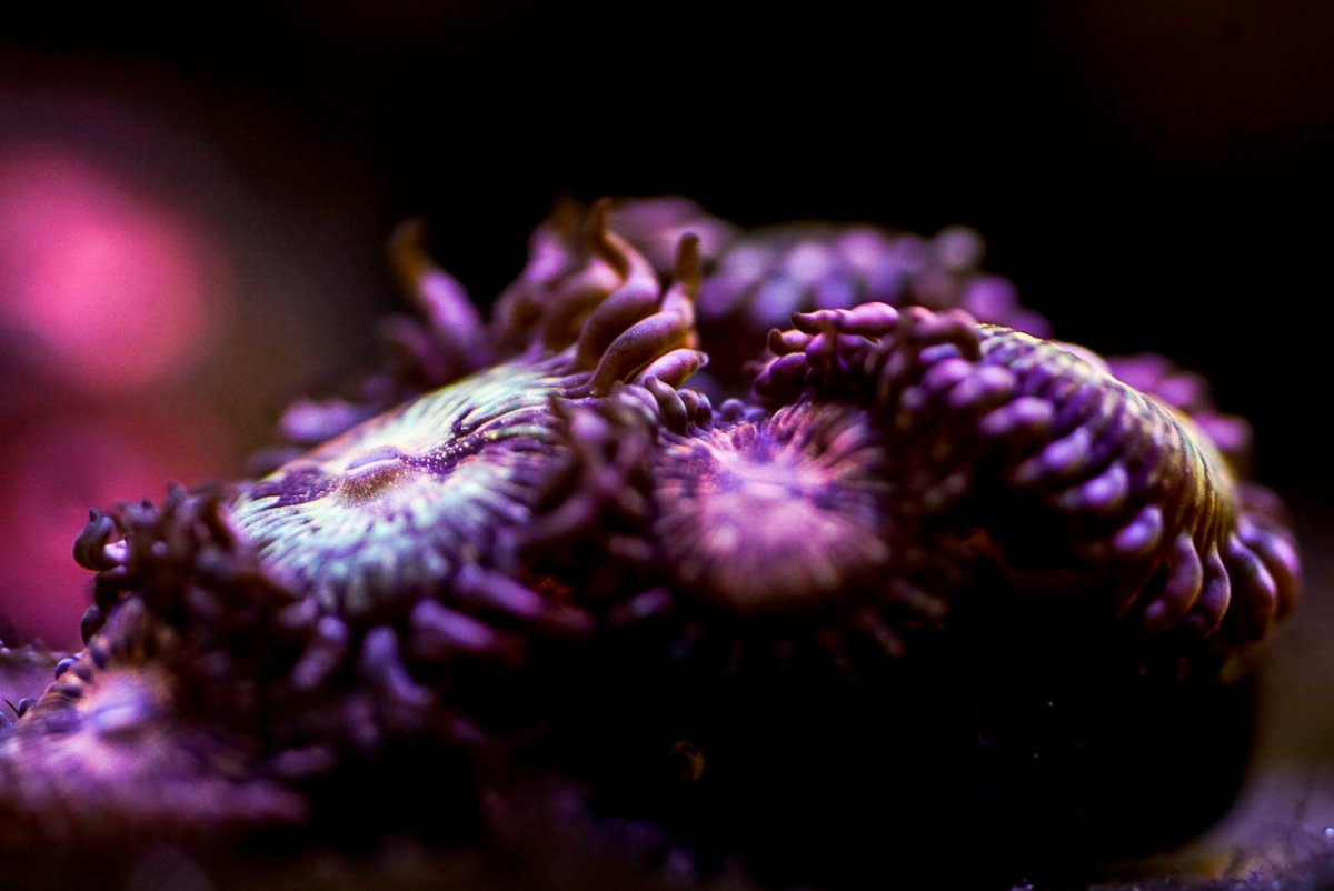 _DSC8024.jpg