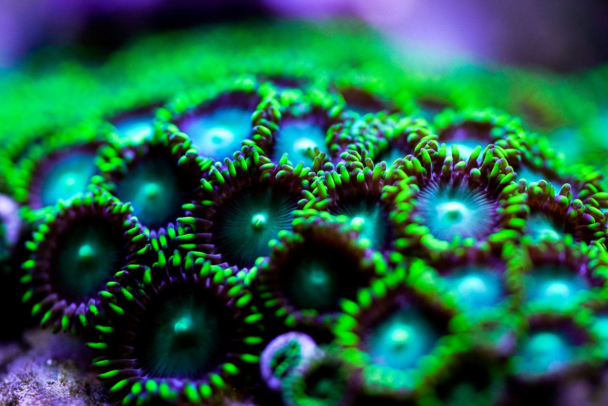 _DSC8031.jpg