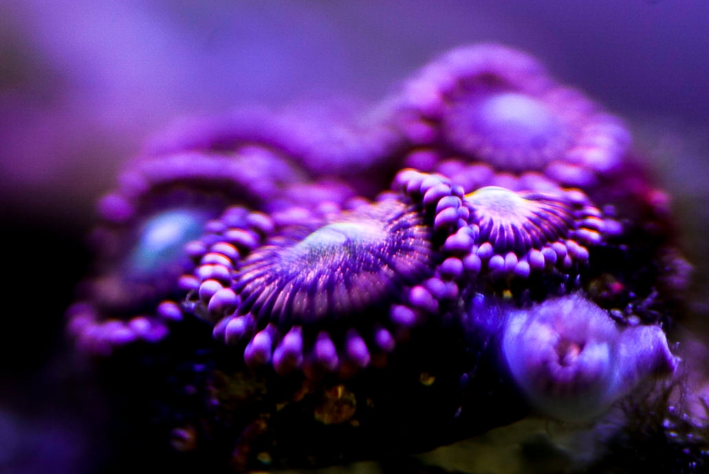 _DSC8033.jpg