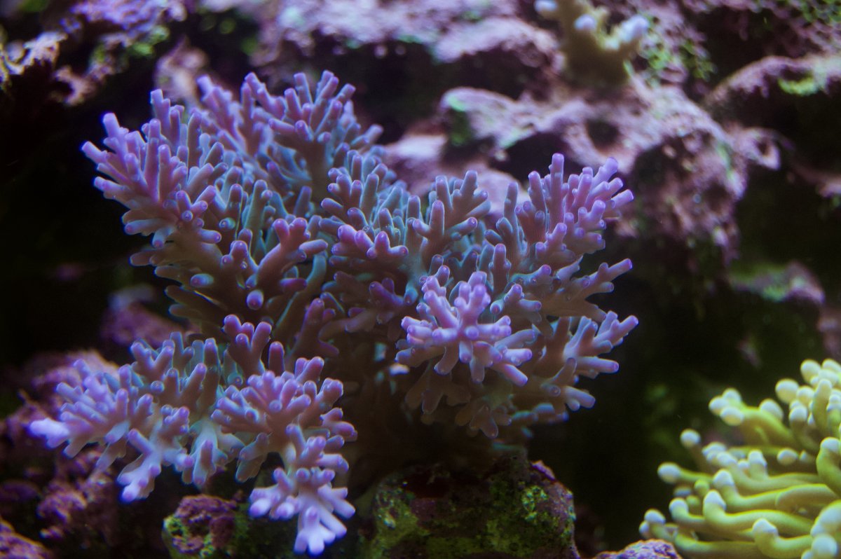_DSC8855.jpeg