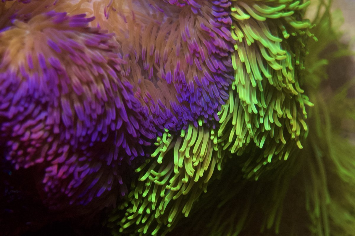 _DSC8890.jpeg