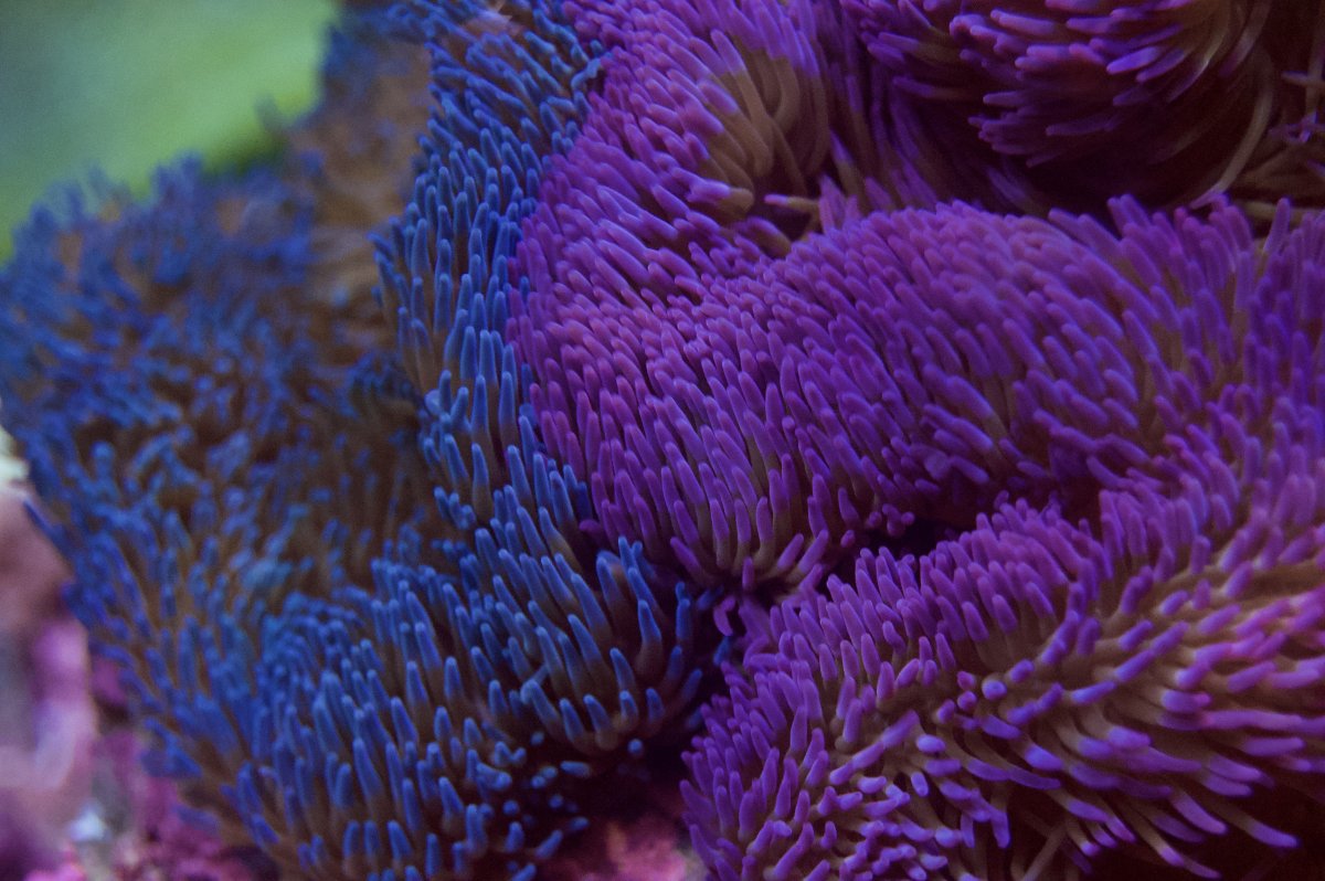 _DSC8891.jpeg