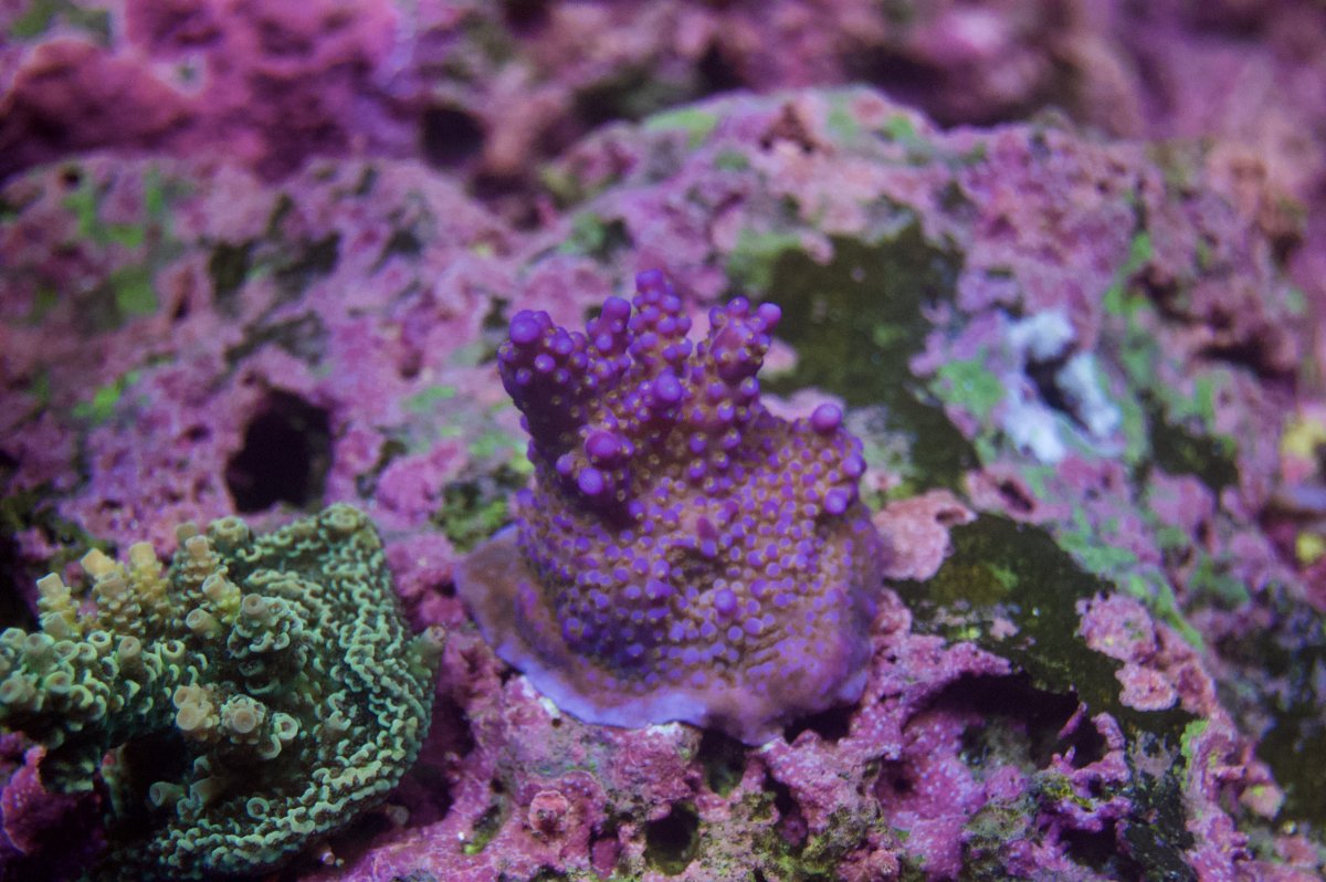 _DSC8906.jpeg