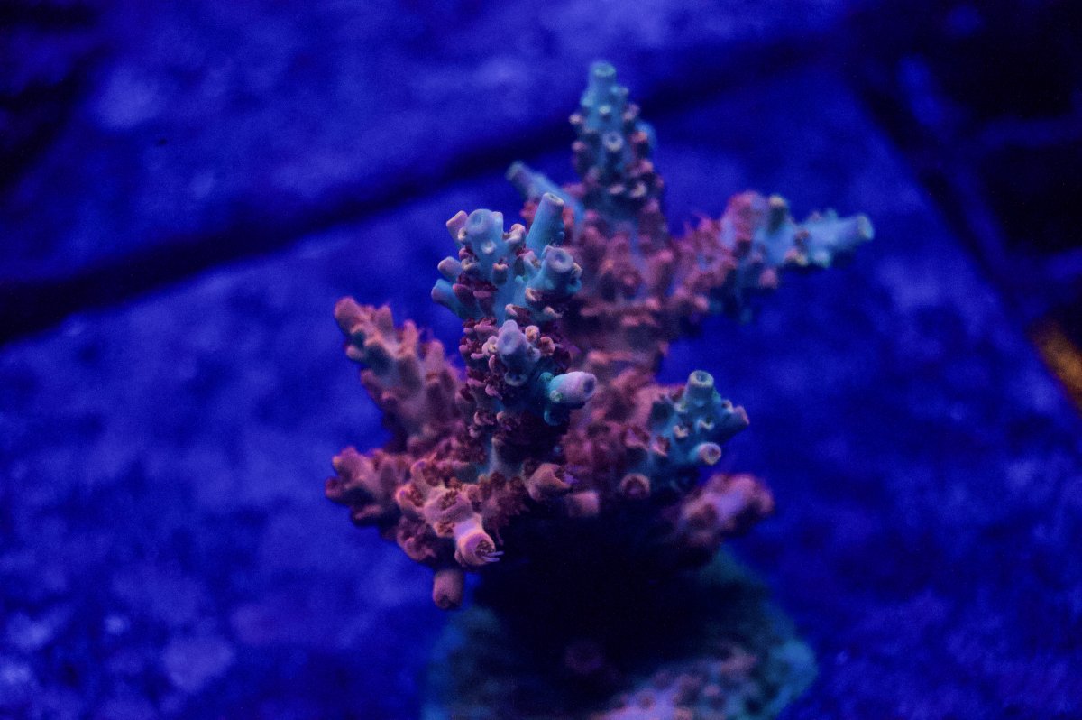 _DSC8915.jpeg