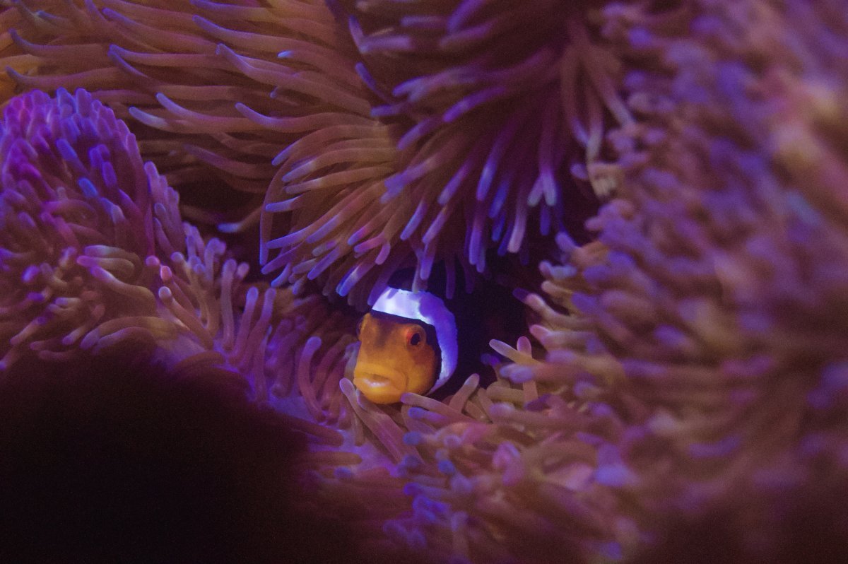 _DSC8940.jpeg