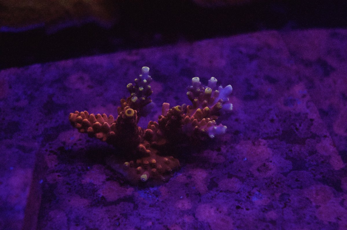 _DSC8952.jpeg