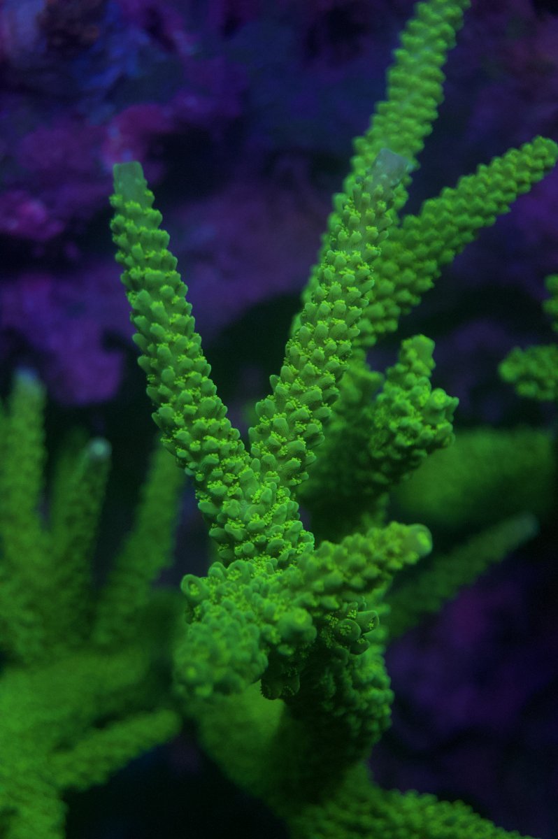 _DSC9007.jpeg