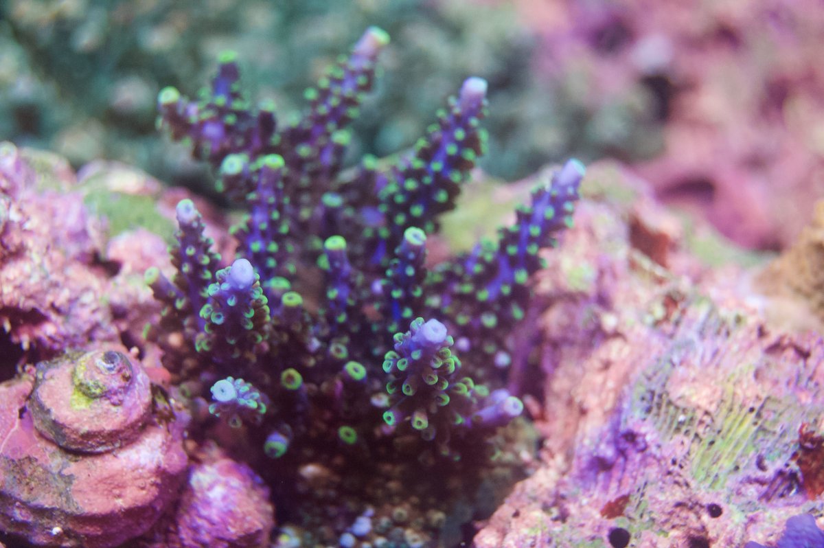 _DSC9019.jpeg