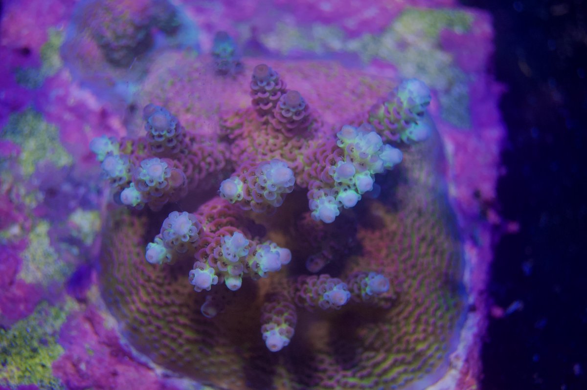 _DSC9024.jpeg