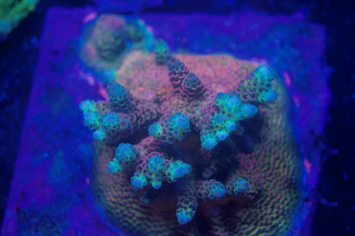 _DSC9025.jpeg