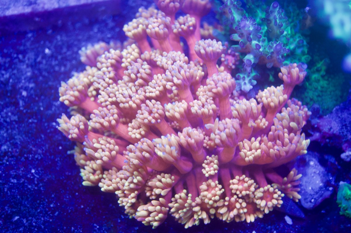 _DSC9027.jpeg