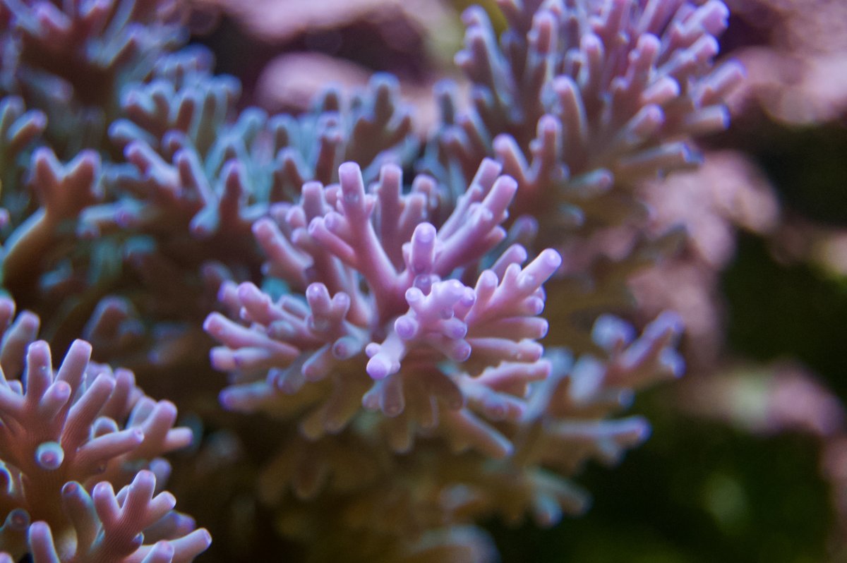 _DSC9031 2.jpeg