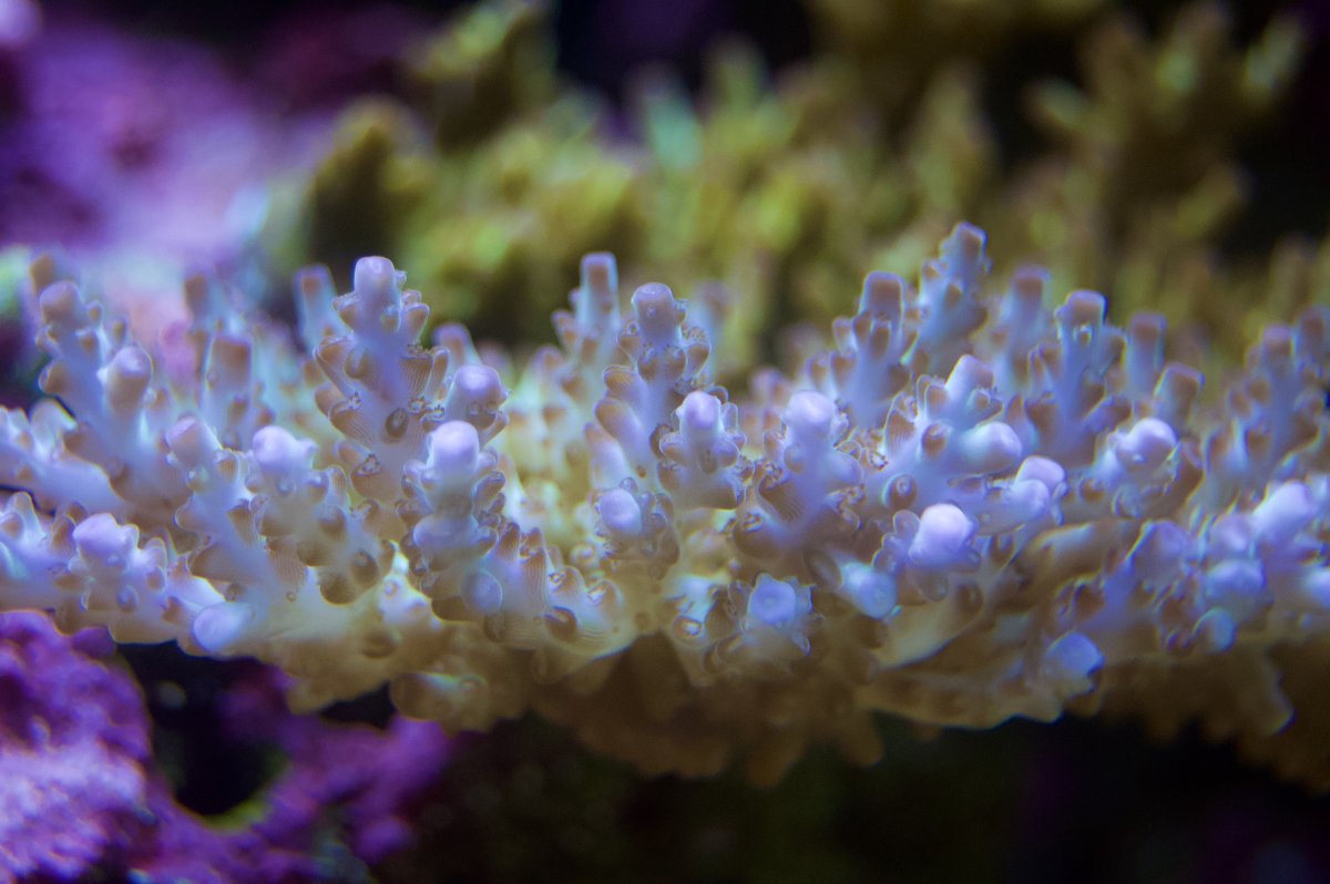 _DSC9034 2.jpeg