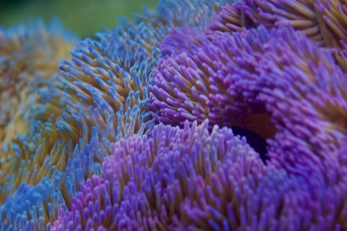 _DSC9066.jpeg