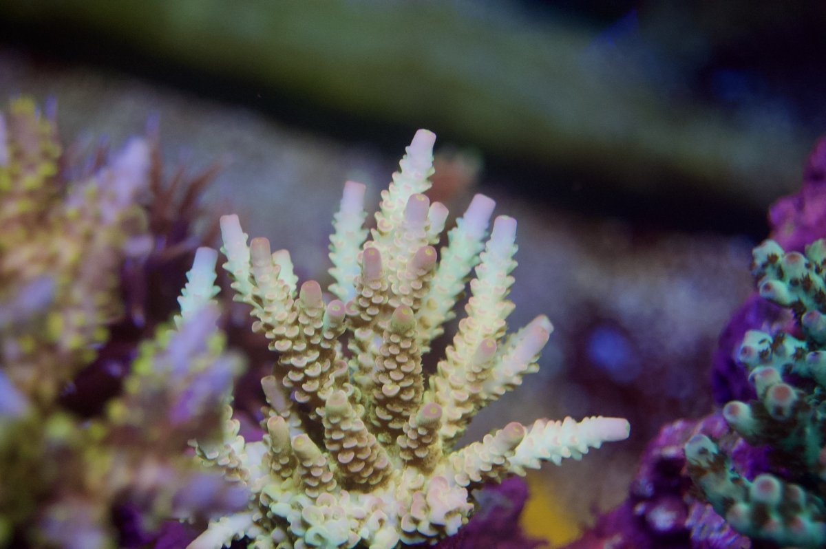 _DSC9091.jpeg