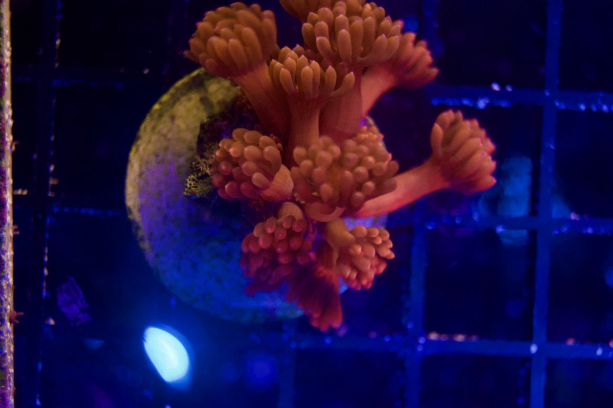 _DSC9185.jpeg
